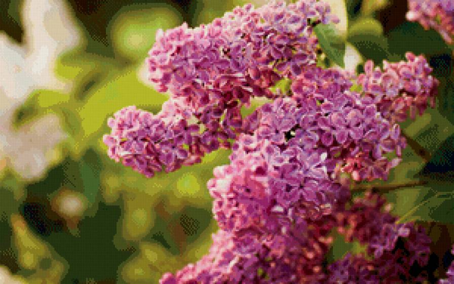 № 127 - природа - предпросмотр