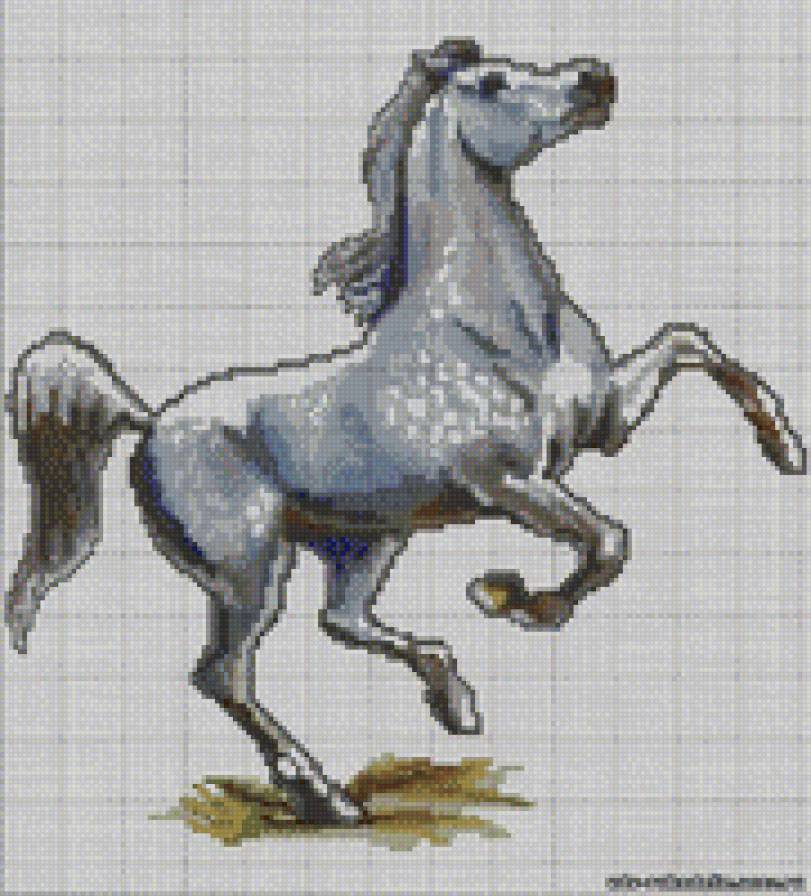 лошать777 - предпросмотр