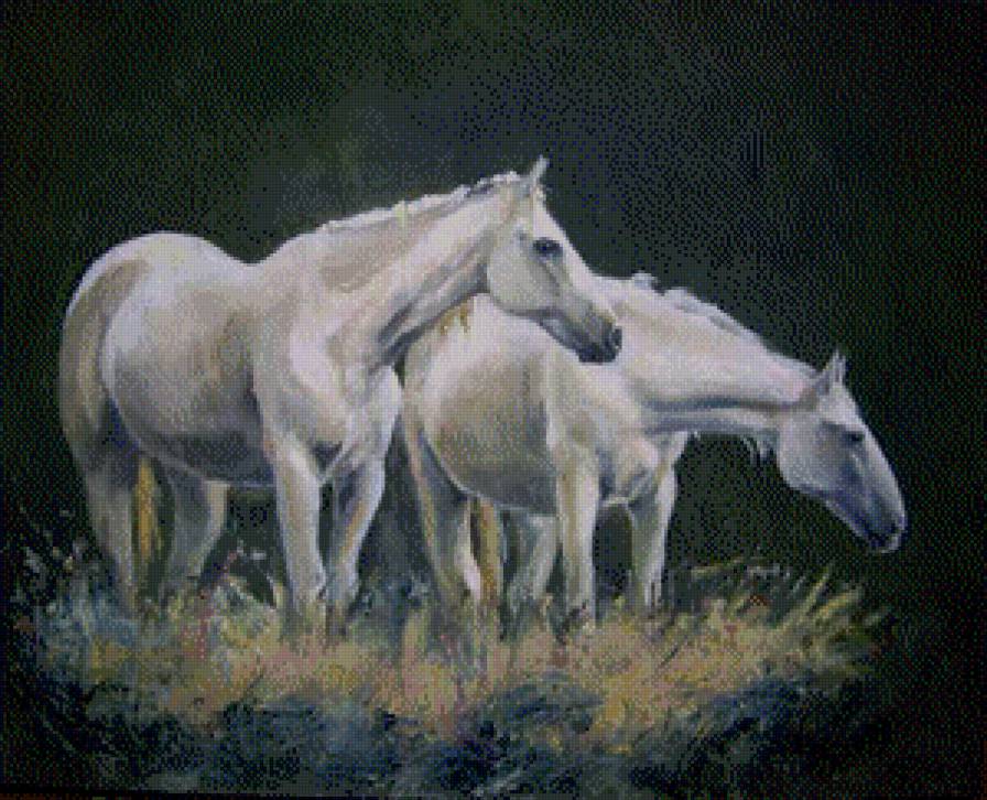 019 - предпросмотр