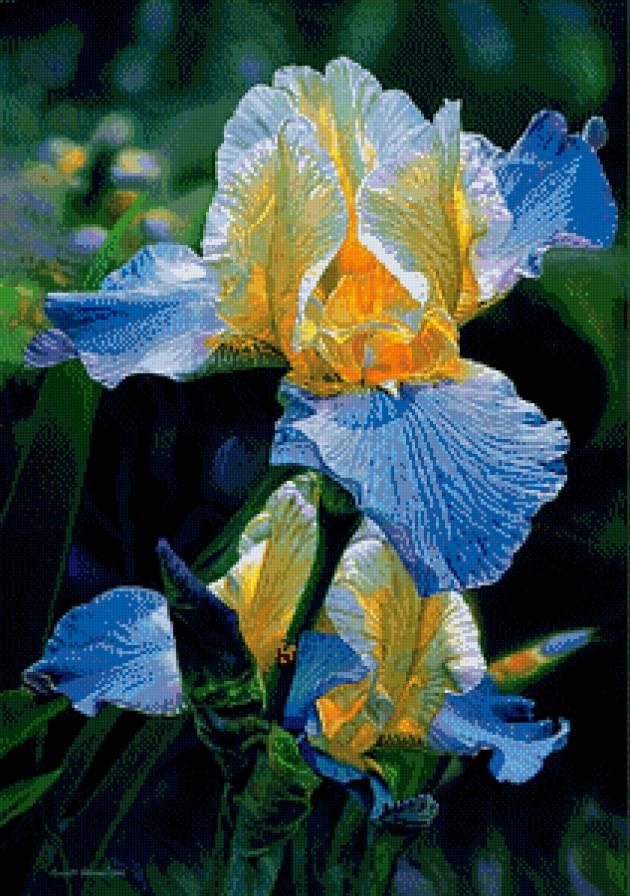 020 - предпросмотр