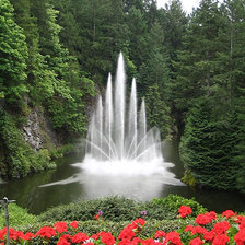 фонтан в лесу