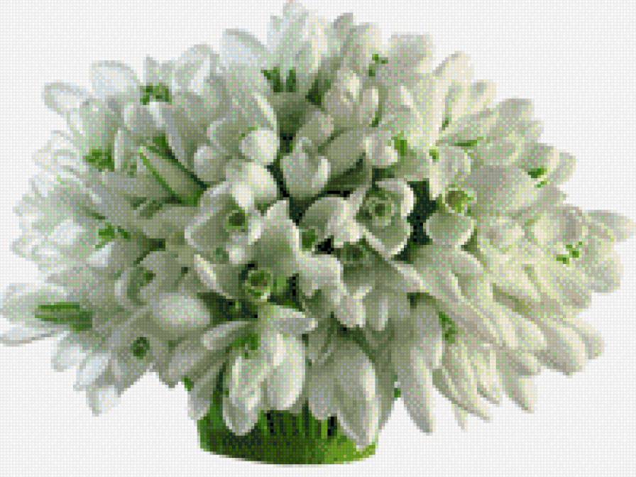 подснежники - подснежники - предпросмотр