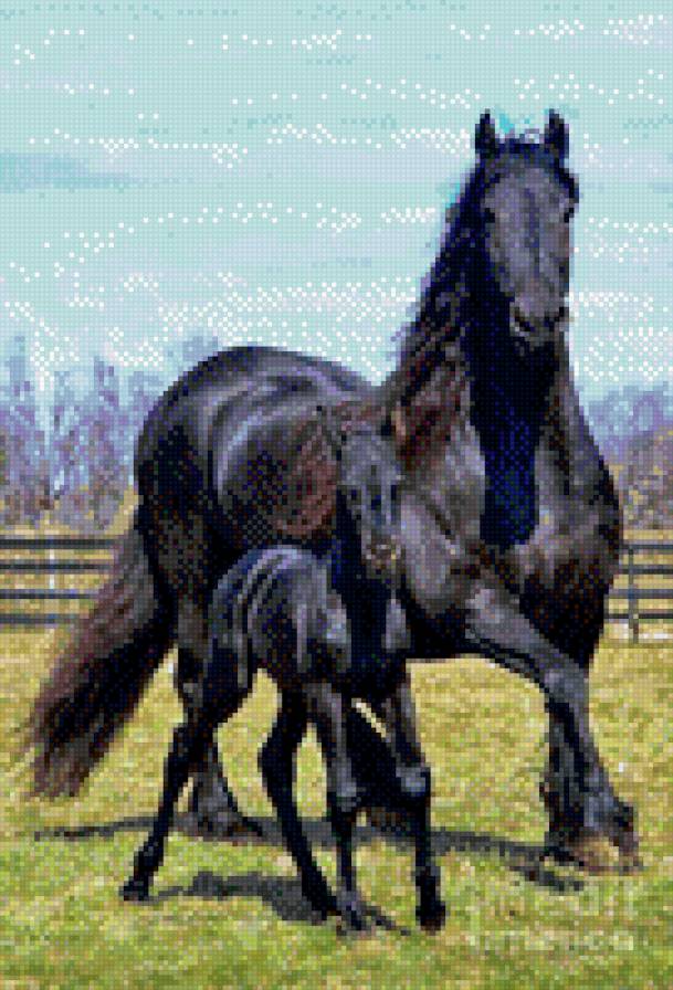 природа - лошади - предпросмотр