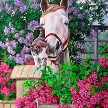 Схема вышивки «№1010711»