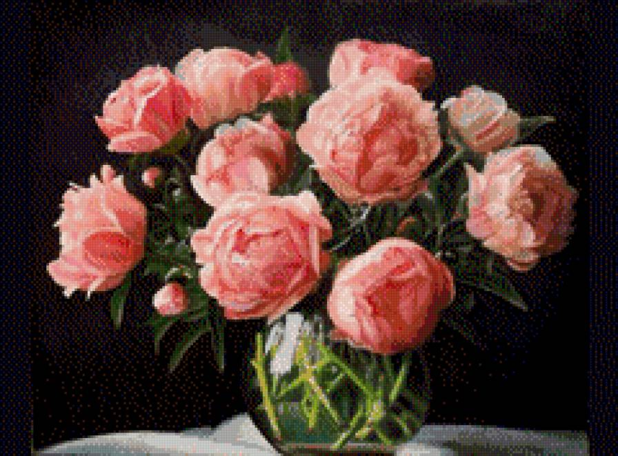 анкор свет - предпросмотр