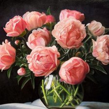 Схема вышивки «анкор свет»