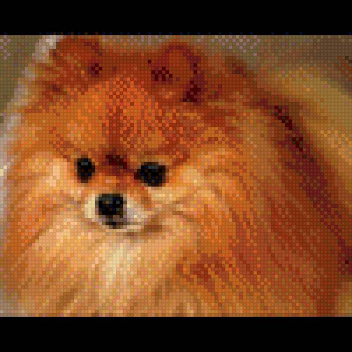 Банди - предпросмотр