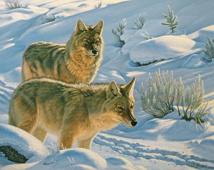 №1011208 - оригинал