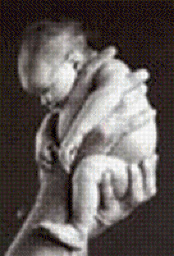 №1011263 - предпросмотр