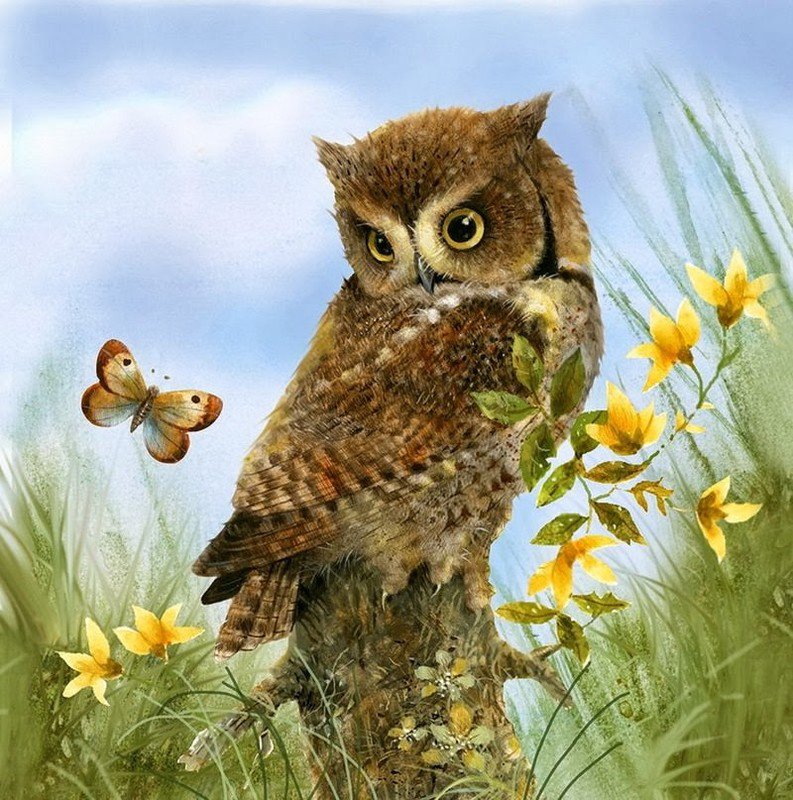 Почему я не бабочка? - сова, птица, филин - оригинал