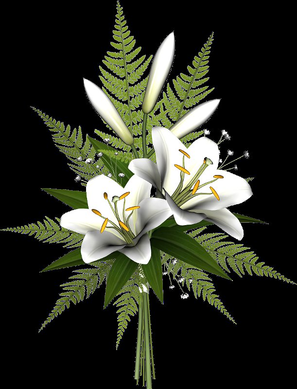 белые лилии - лилии, цветы - оригинал