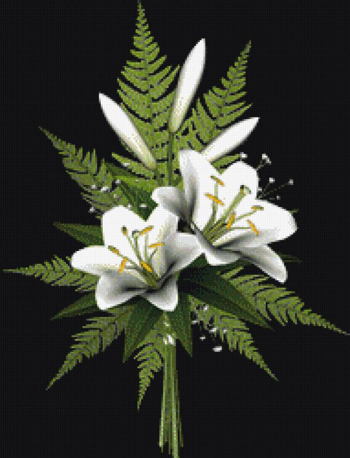 белые лилии - цветы, лилии - предпросмотр