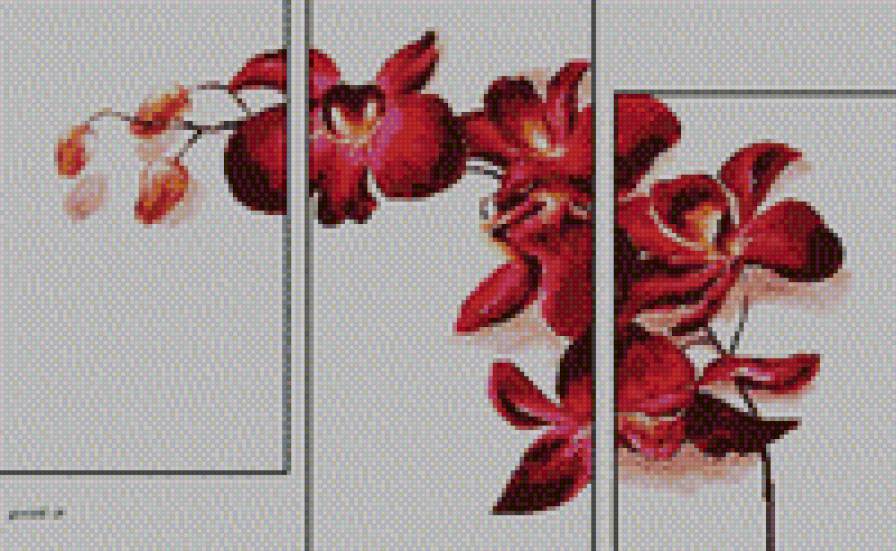 цветок - предпросмотр