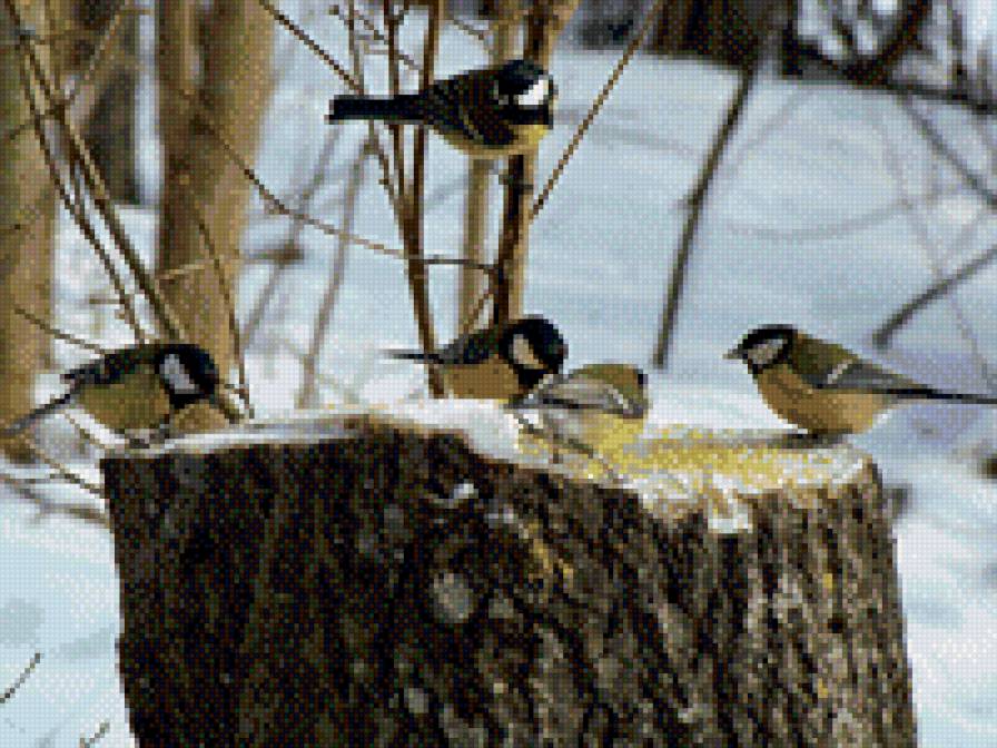 №1011755 - предпросмотр