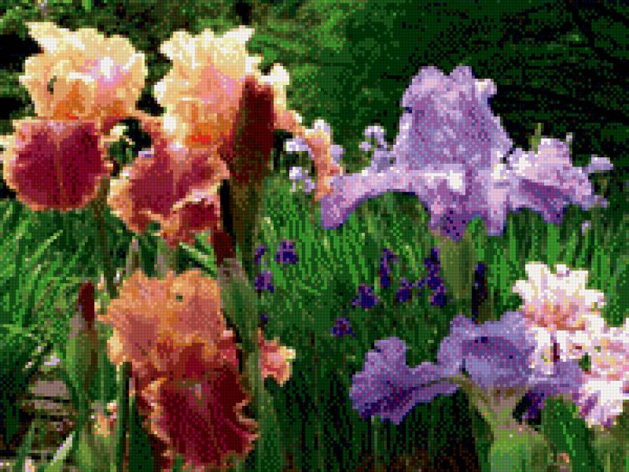 №1011756 - предпросмотр