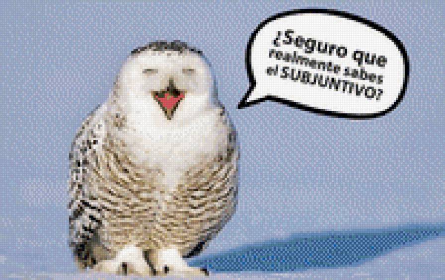 №1011766 - предпросмотр