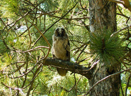 №1011788 - оригинал