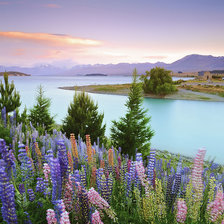 Схема вышивки «пейзаж»