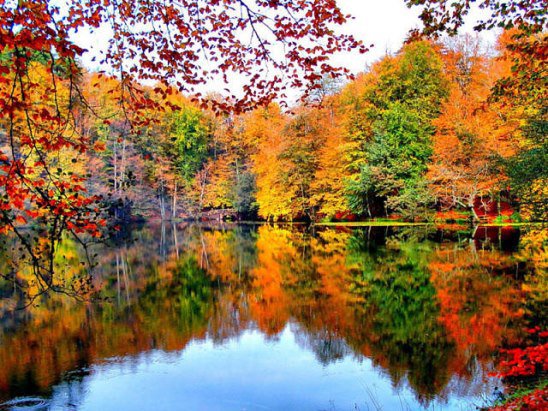 Осень - оригинал