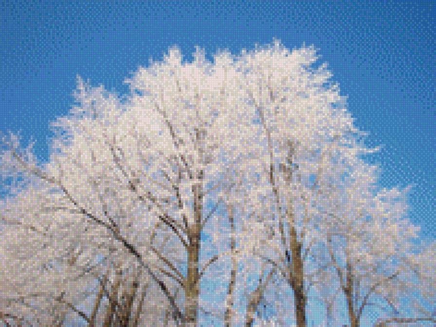 новогоднее утро - иней зима утро снег - предпросмотр