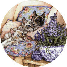 Схема вышивки «Кошки Дебби Кук»
