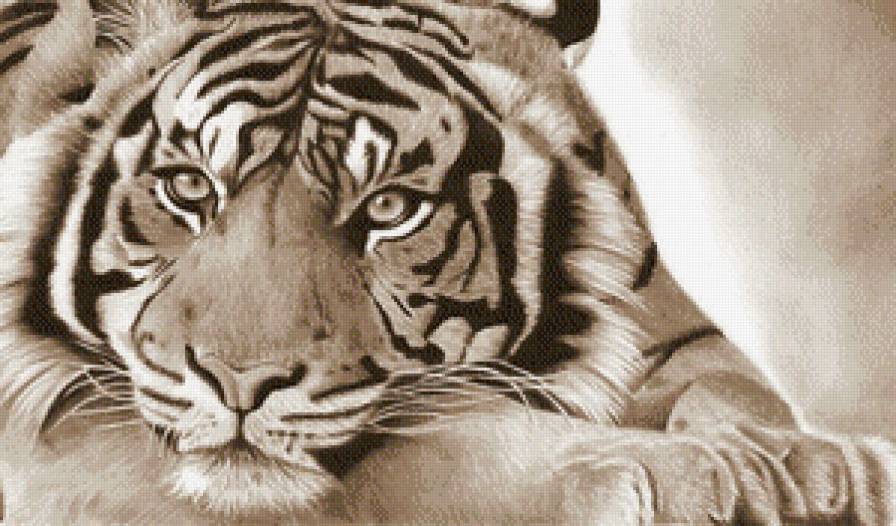 в мире животных - природа, животные, тигры - предпросмотр