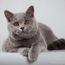 Схема вышивки «маленькая»