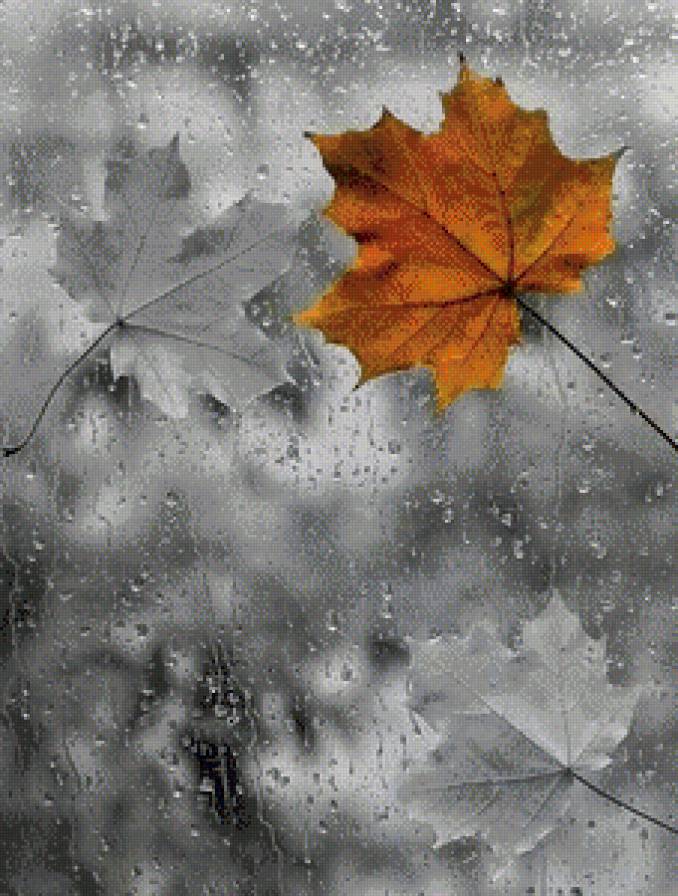 лист - дождь, лист клена, осень - предпросмотр