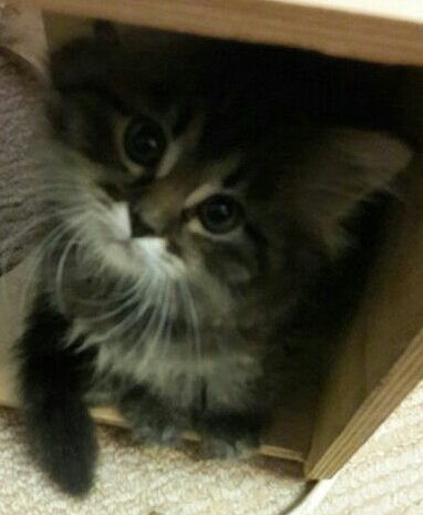 №1012531 - оригинал