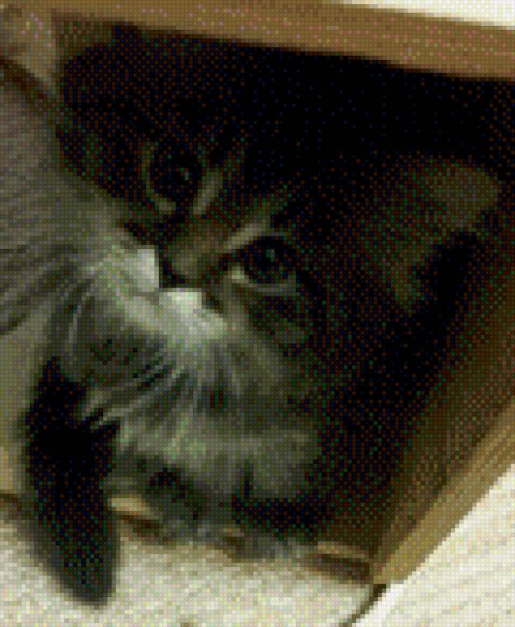 №1012531 - предпросмотр