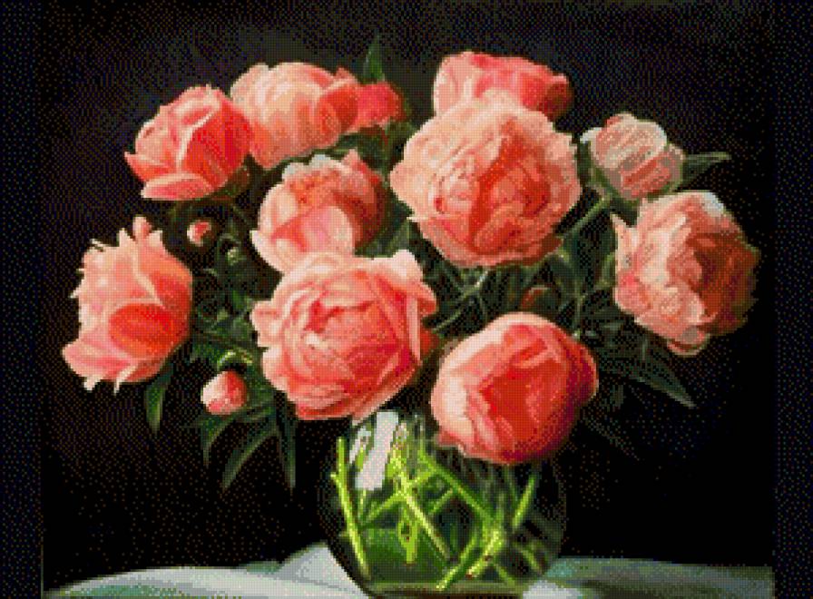 дмс больш - предпросмотр