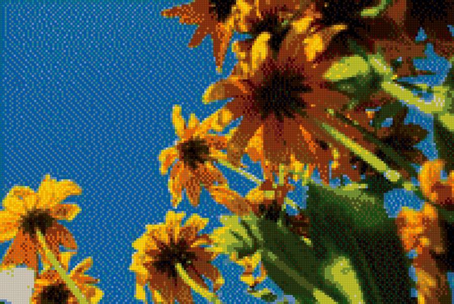 1 - предпросмотр