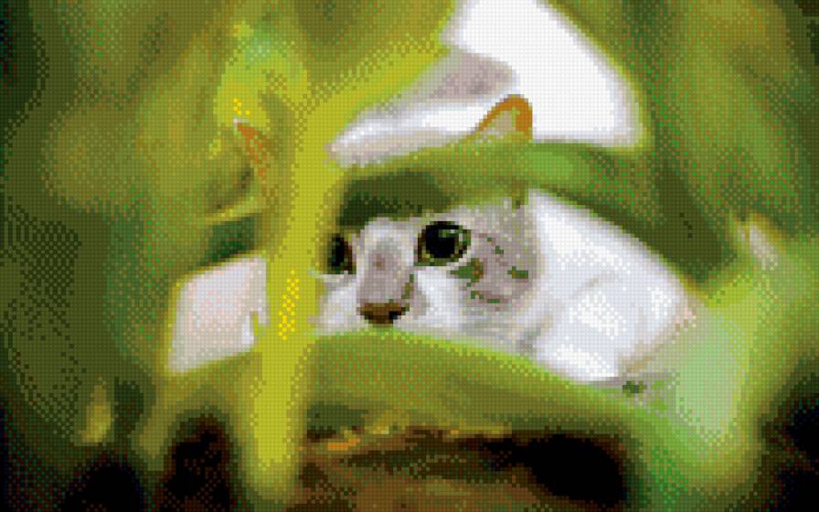 Кот - животные, кот - предпросмотр