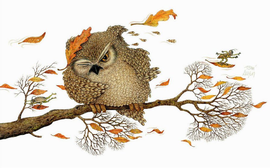 Ветер  перемен - сова, ветер - оригинал