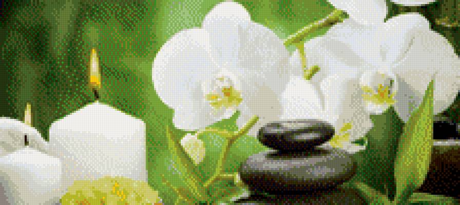 Орхидеи и свечи - орхидеи, свечи, цветы - предпросмотр