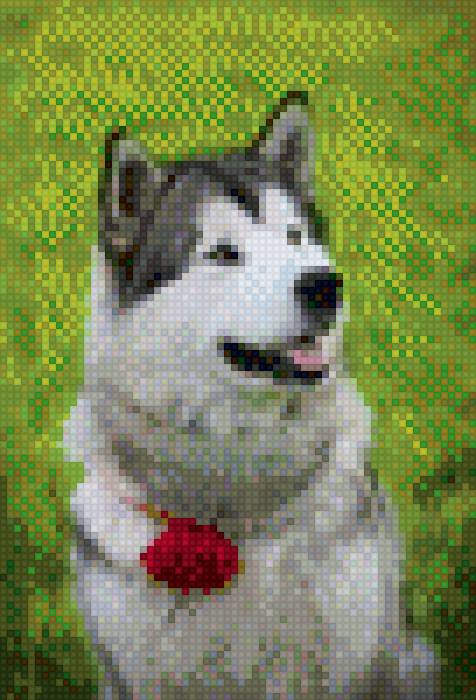 №1013084 - предпросмотр