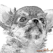 Схема вышивки «Щенок 2»