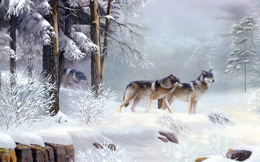 Волки в зимнем лесу. - зима, природа, картина, пейзаж, волки, лес - оригинал