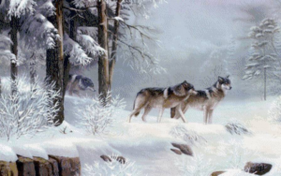 Волки в зимнем лесу. - зима, природа, картина, волки, лес, пейзаж - предпросмотр