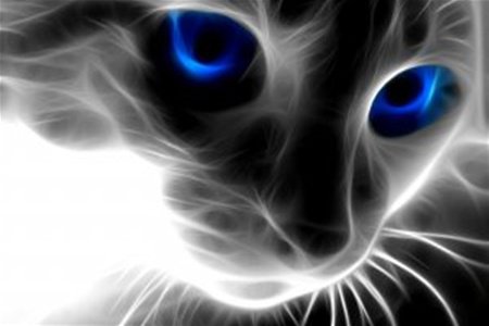 №1013116 - оригинал