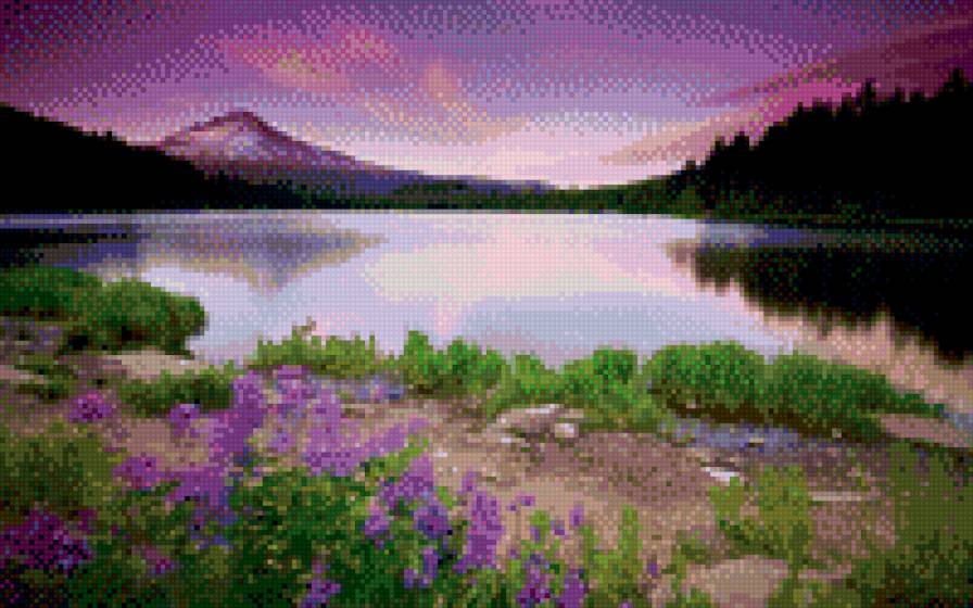 Фиолет - предпросмотр