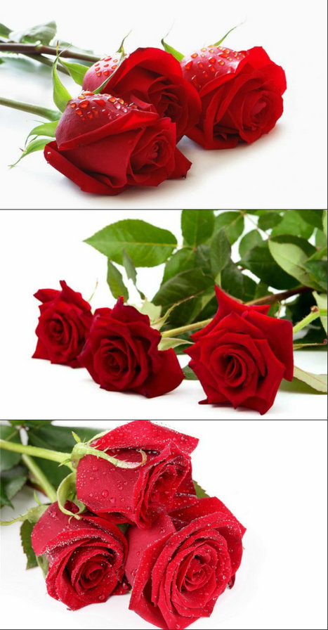 Hjps - оригинал