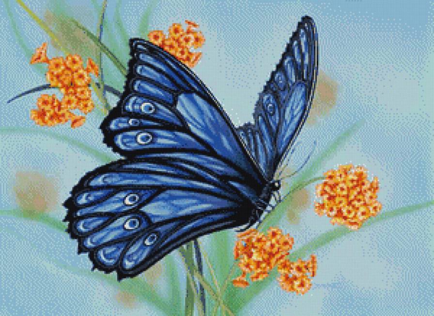 бабочка на цветах - бабочка, цветы - предпросмотр