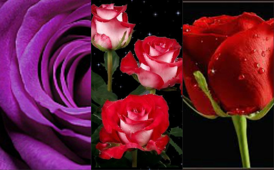 розочки - оригинал