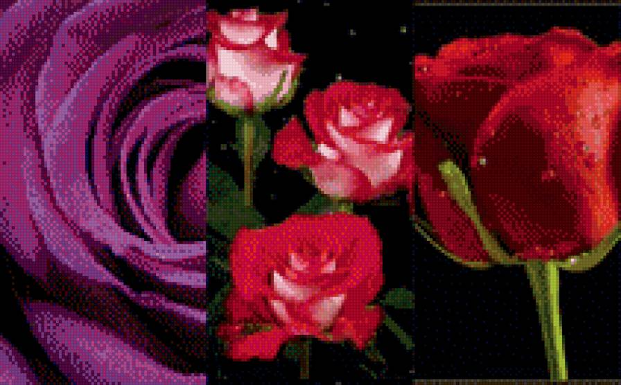 розочки - предпросмотр