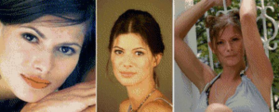 №1013634 - предпросмотр