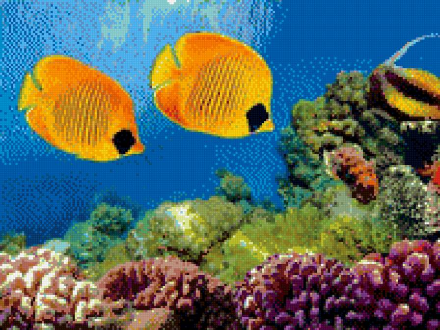 №1013793 - предпросмотр