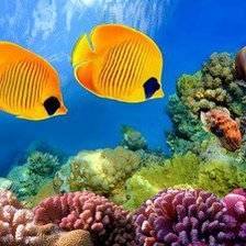 Схема вышивки «№1013793»