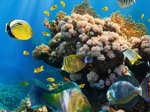 №1013794 - оригинал