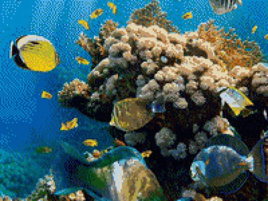 №1013794 - предпросмотр